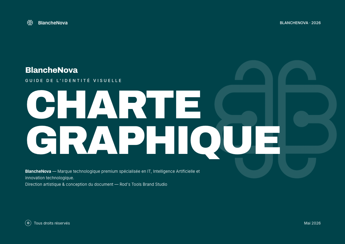 Identité visuelle et charte graphique BlancheNova